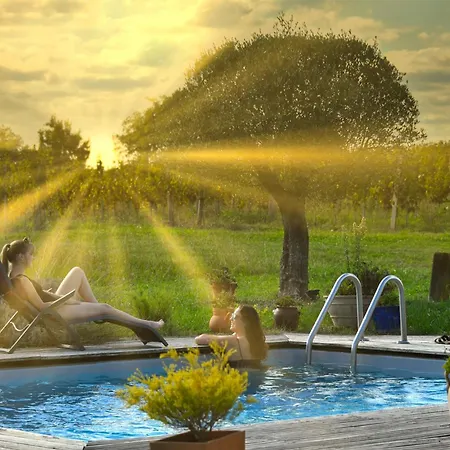 Les Vignes Hébergement de vacances Cravenceres