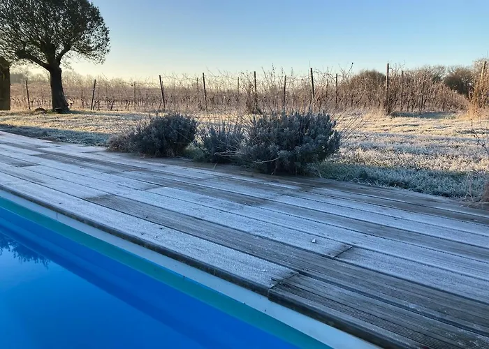 Les Vignes Cravenceres