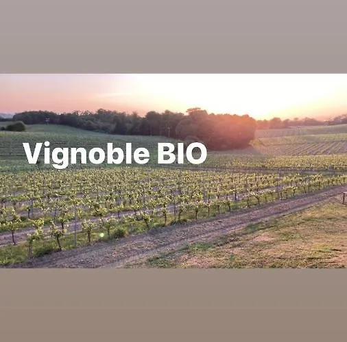 Les Vignes בית נופש Cravenceres