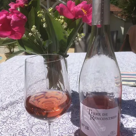 Gite Les Vignes Semesterbostad