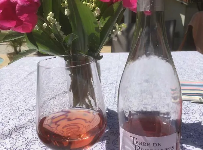 Les Vignes Ferienhaus